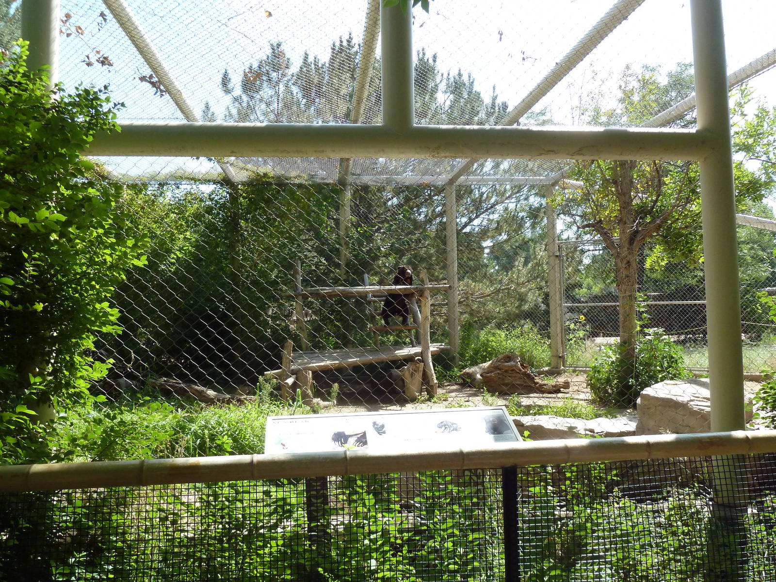 Sun Bear Exhibit