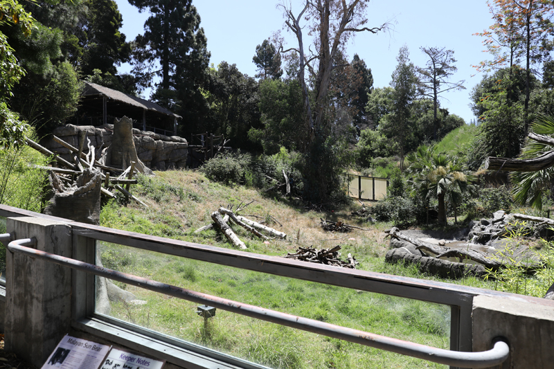 sun bear exhibit