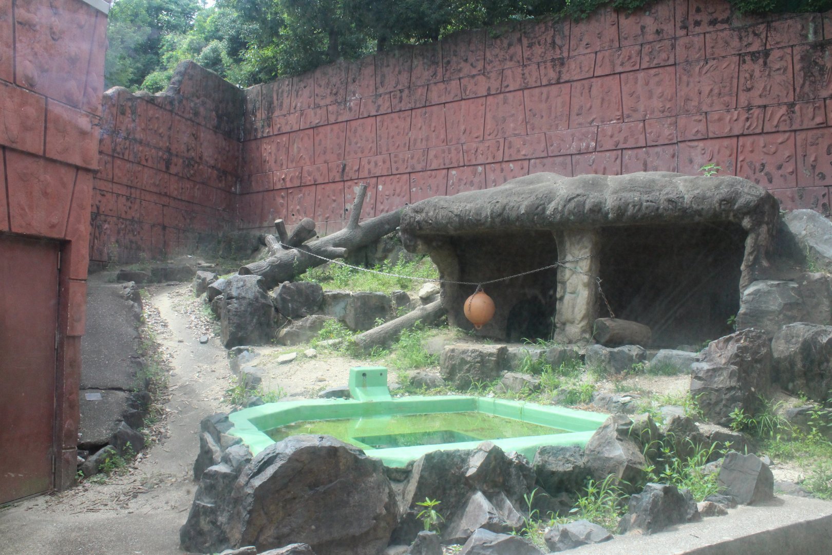 Sun bear exhibit