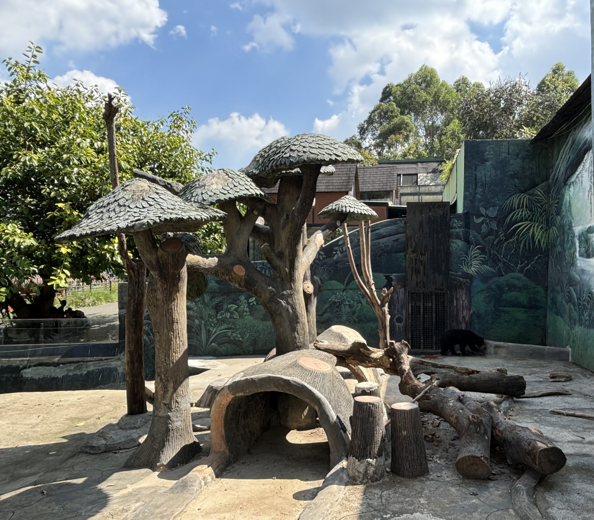 Sun Bear Exhibit