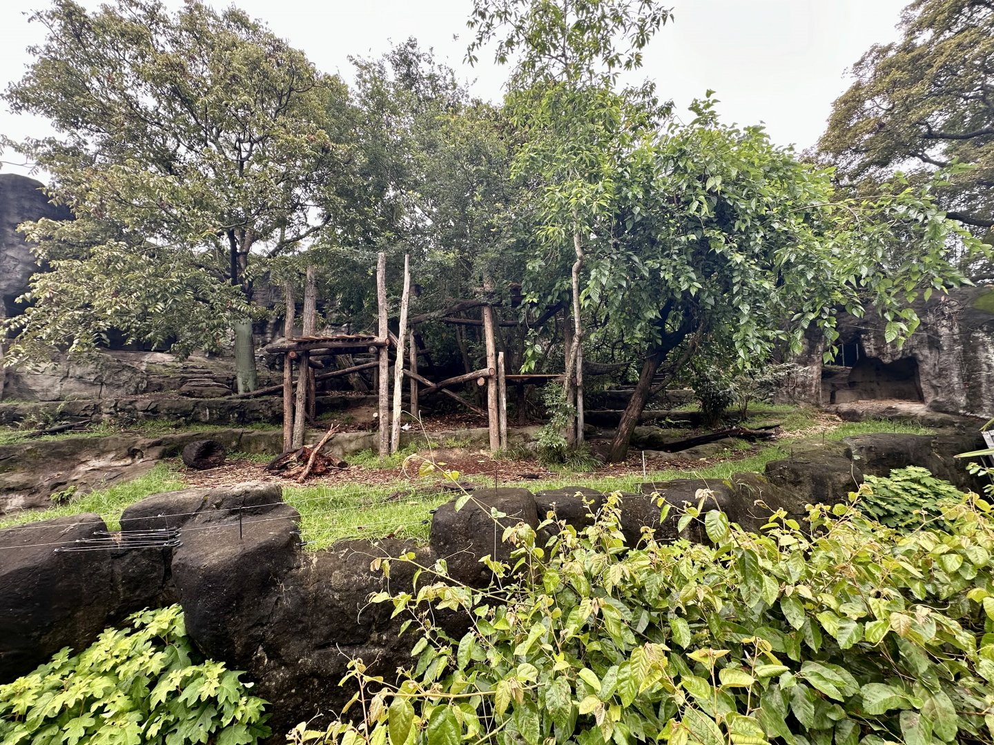 Sun Bear Exhibit