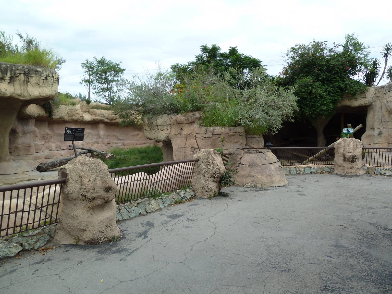 Sun Bear Exhibits