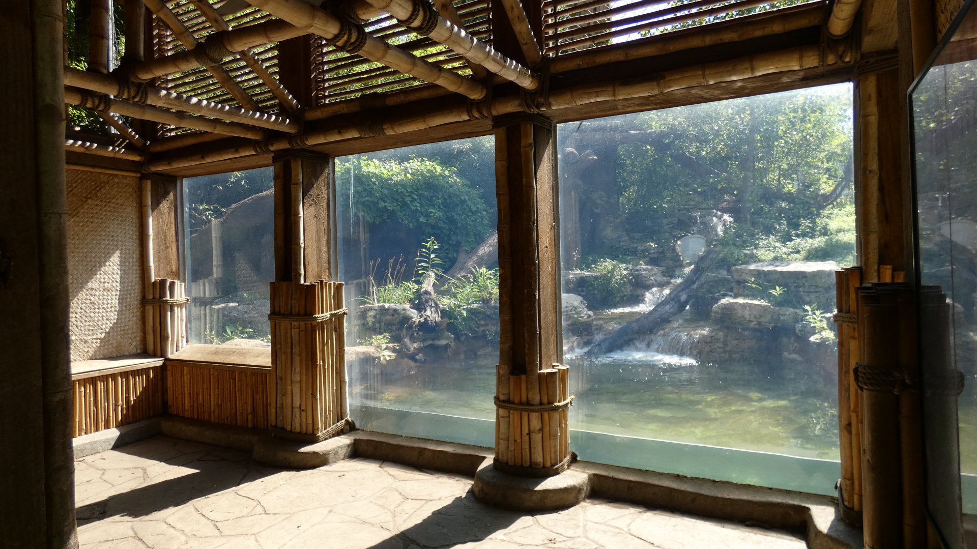 Sun Bear Forest, Asia, River's Edge  - Sep. 2021