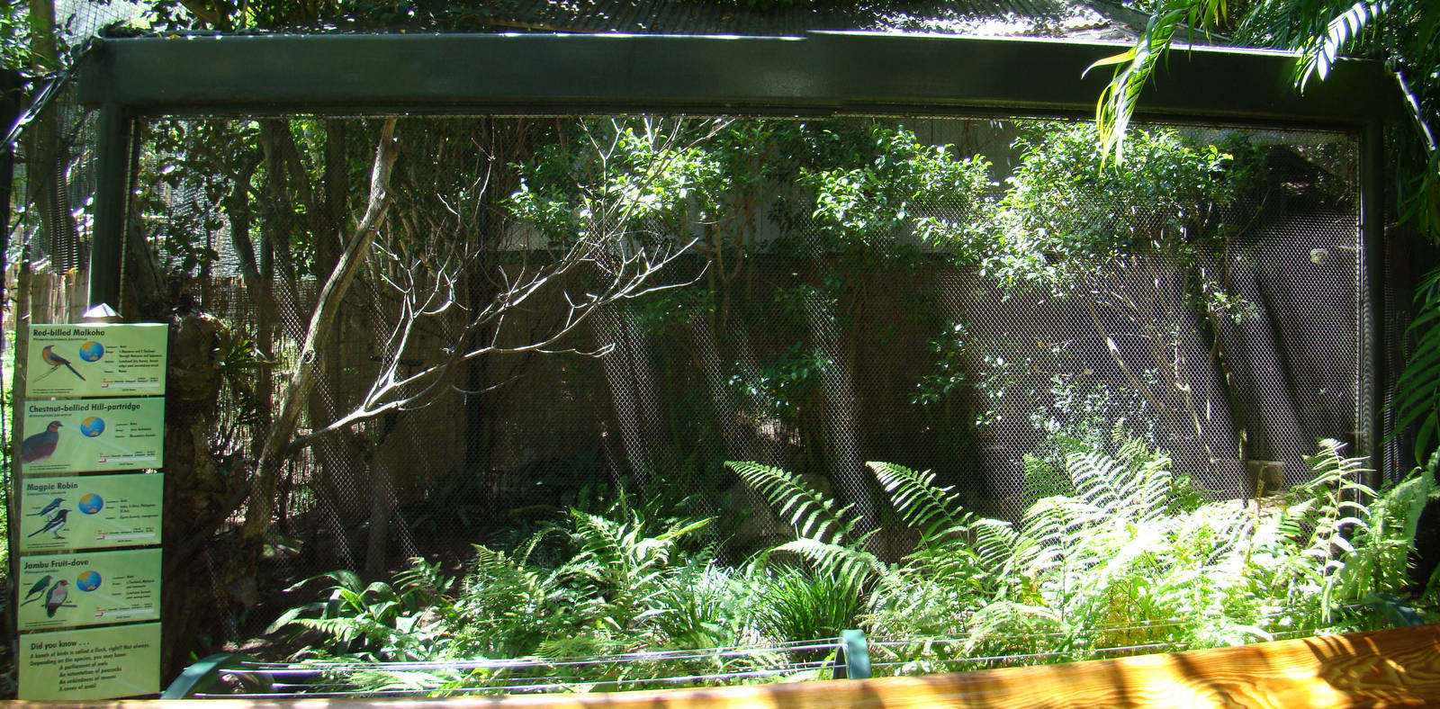 Sun Bear Forest - Aviary