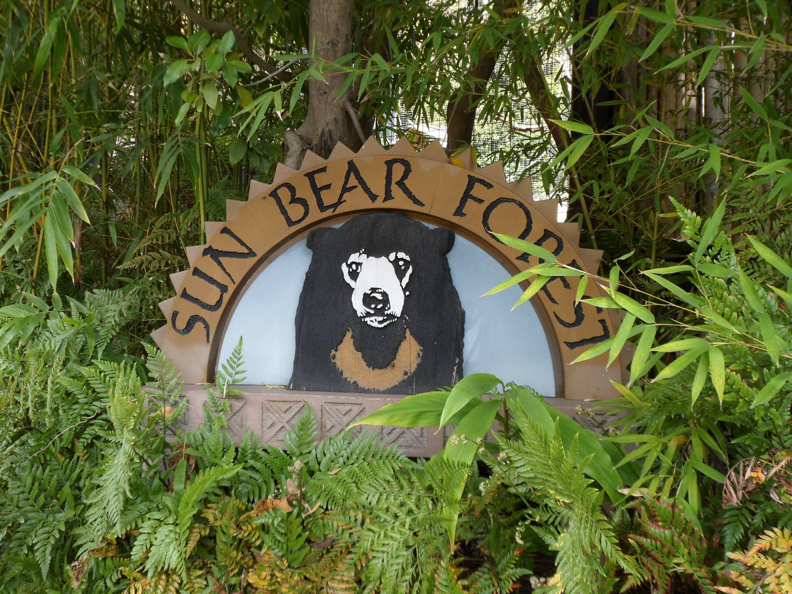 Sun Bear Forest Sign