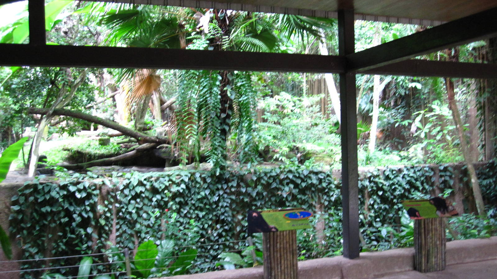Sun Bear habitat, Singapore Zoo