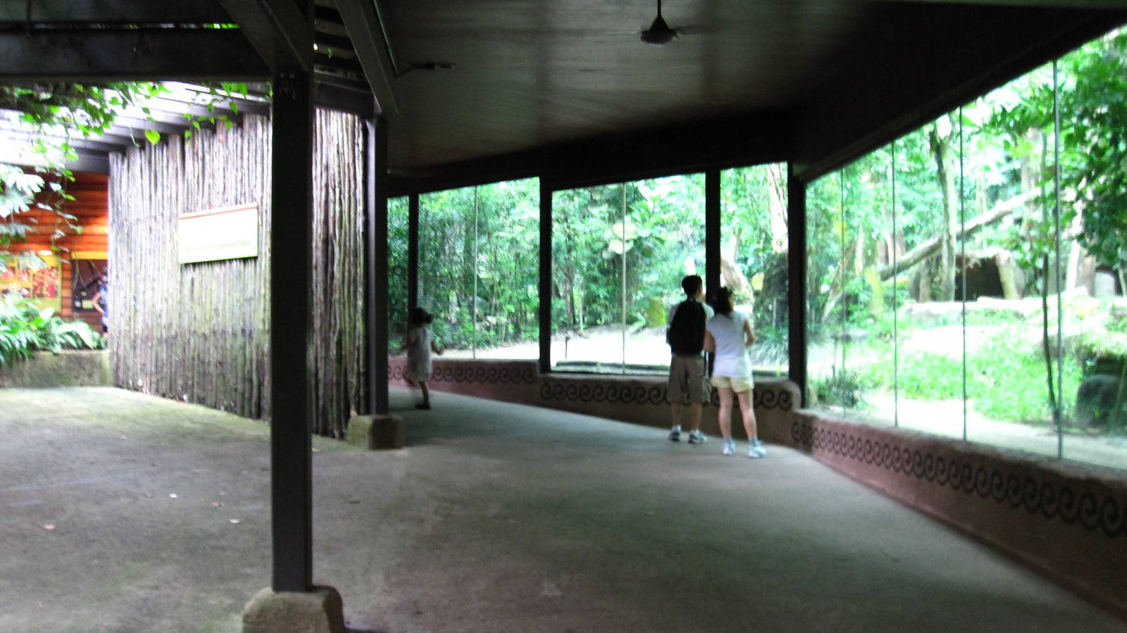 Sun Bear habitat, Singapore Zoo