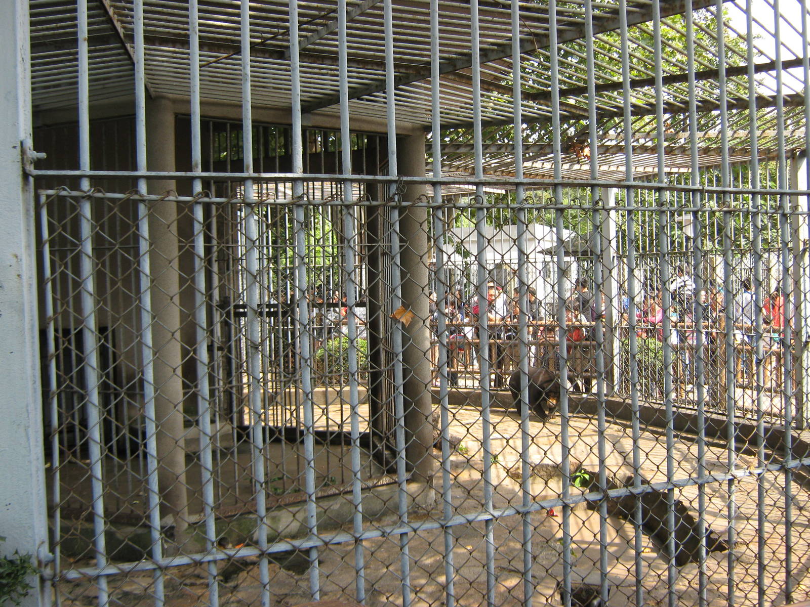sun bear (Helarctos malayanus) cage