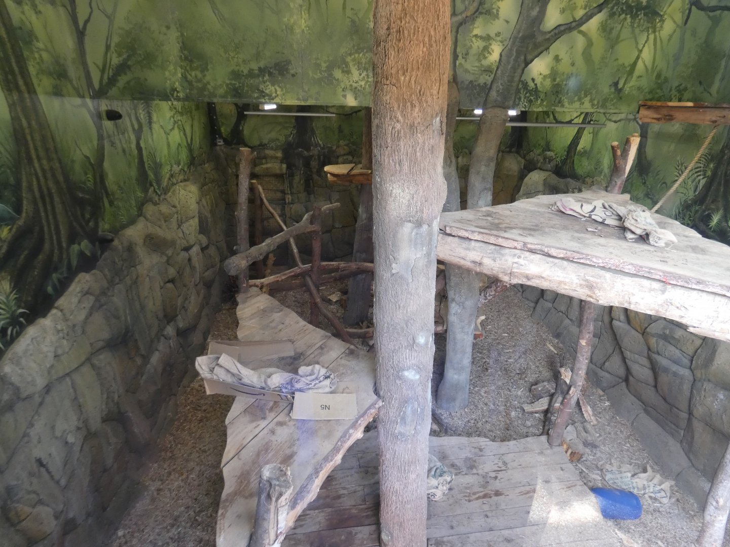 Sun bear indoor enclosure