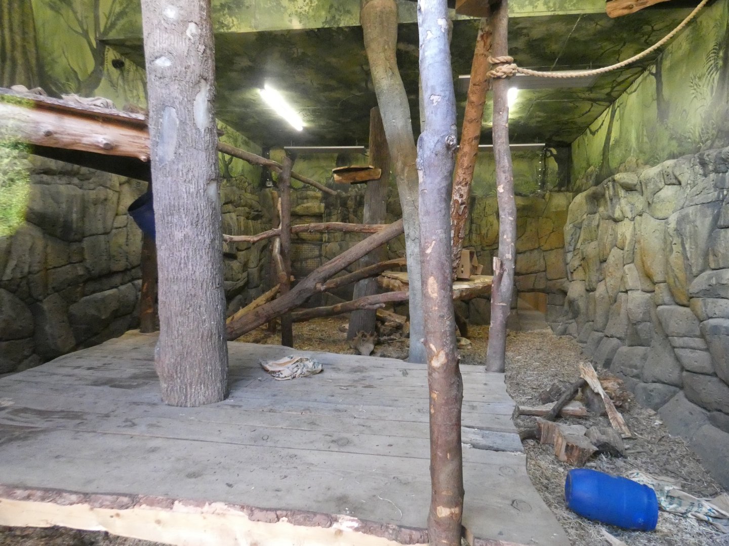 Sun bear indoor enclosure
