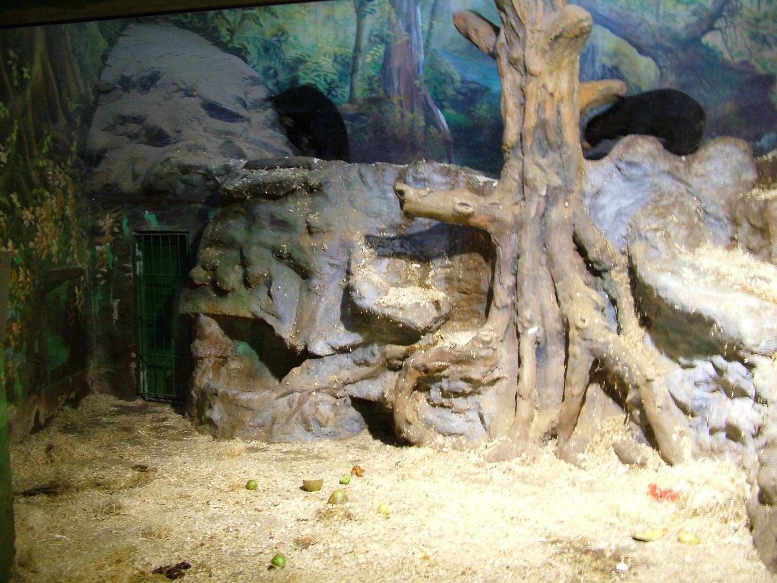 Sun Bear Indoor Exhibit at Usti, 29/08/12