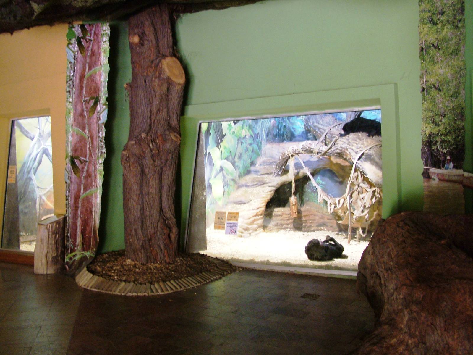 Sun Bear Indoor Exhibit at Usti, 29/08/12