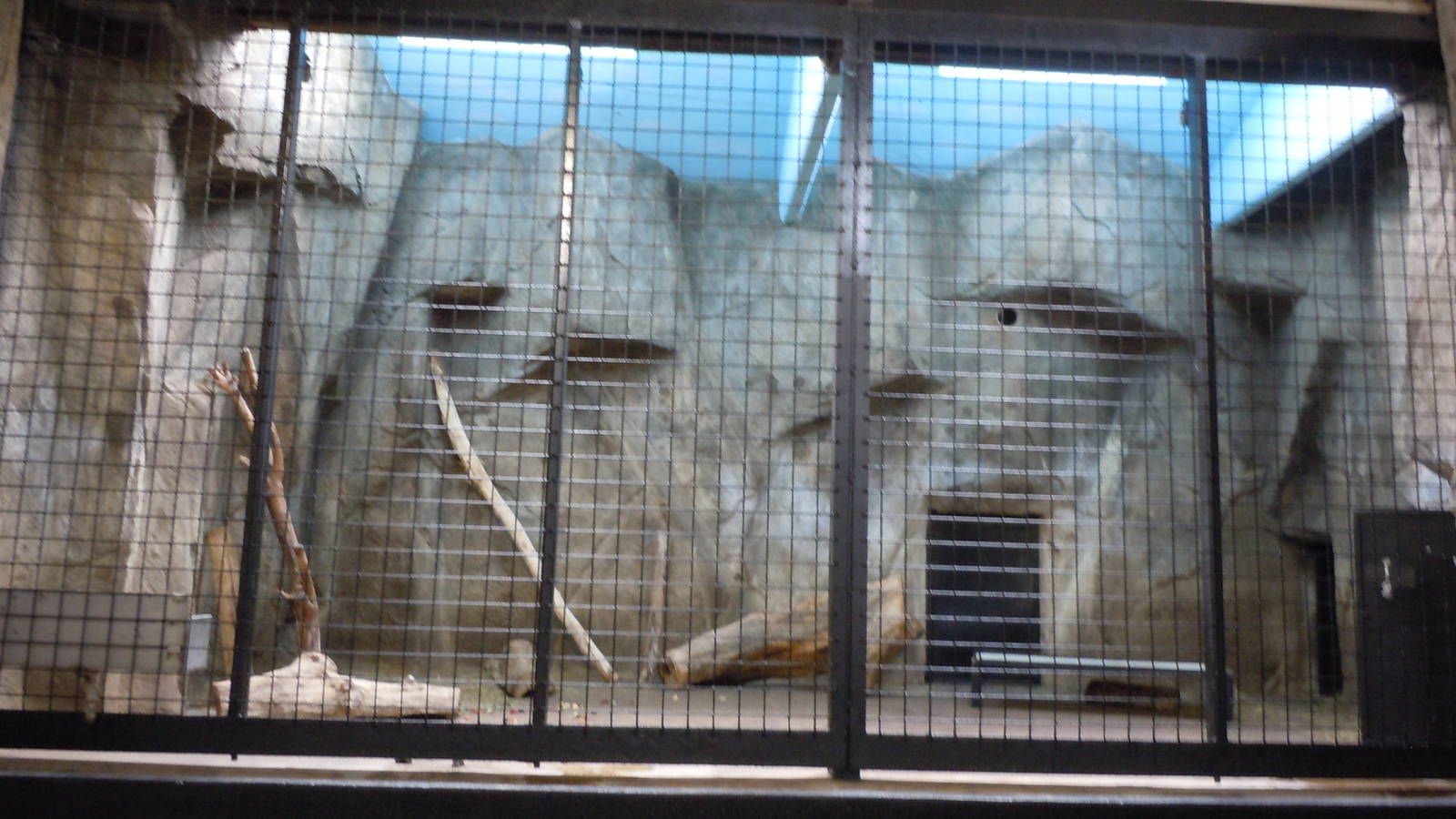 Sun Bear Indoor Exhibit