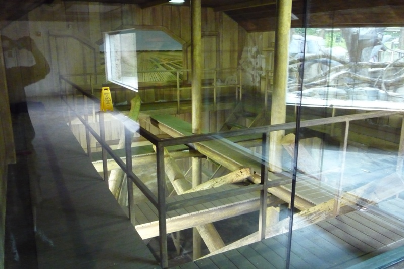 Sun Bear Indoor Holding