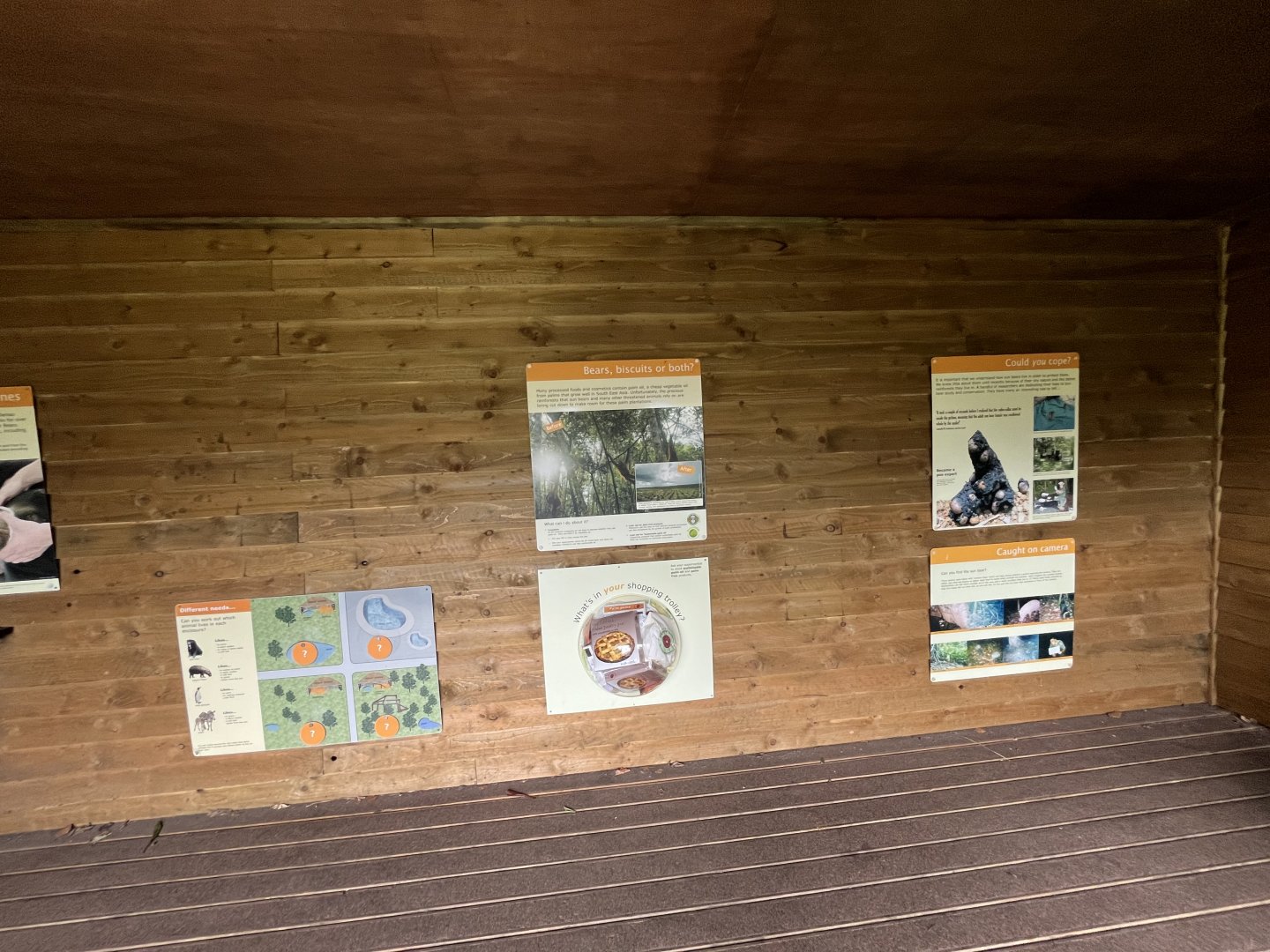 Sun bear informative signs 18.7.24