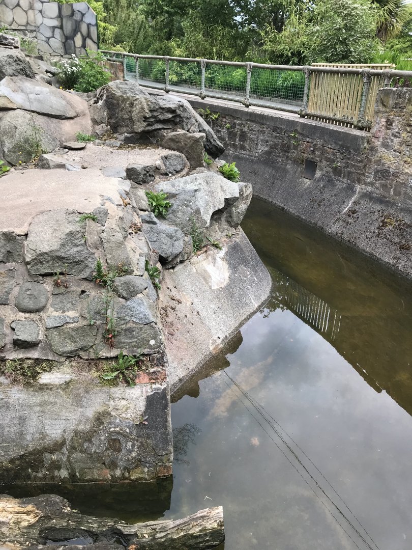 Sun bear moat