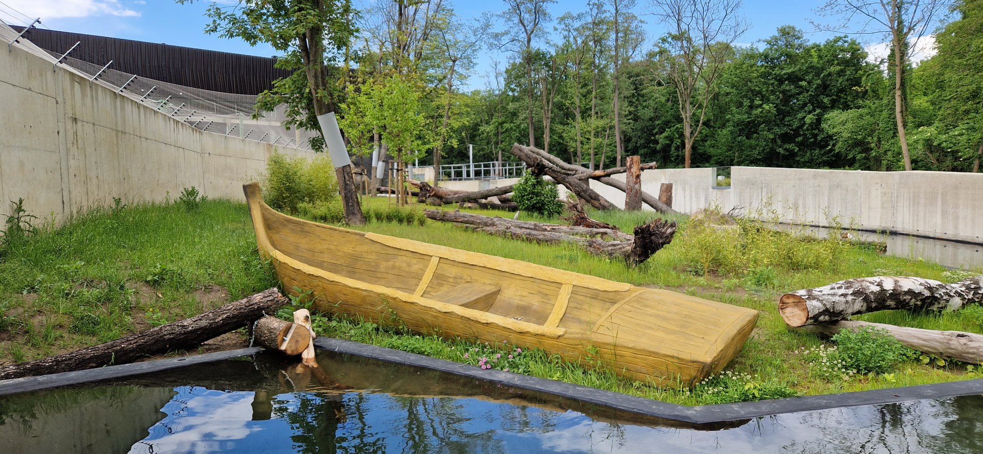 Sun Bear outdoor exhibit