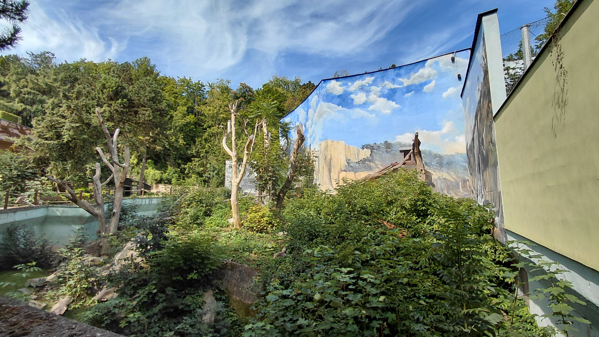 Sun bear outdoor exhibit