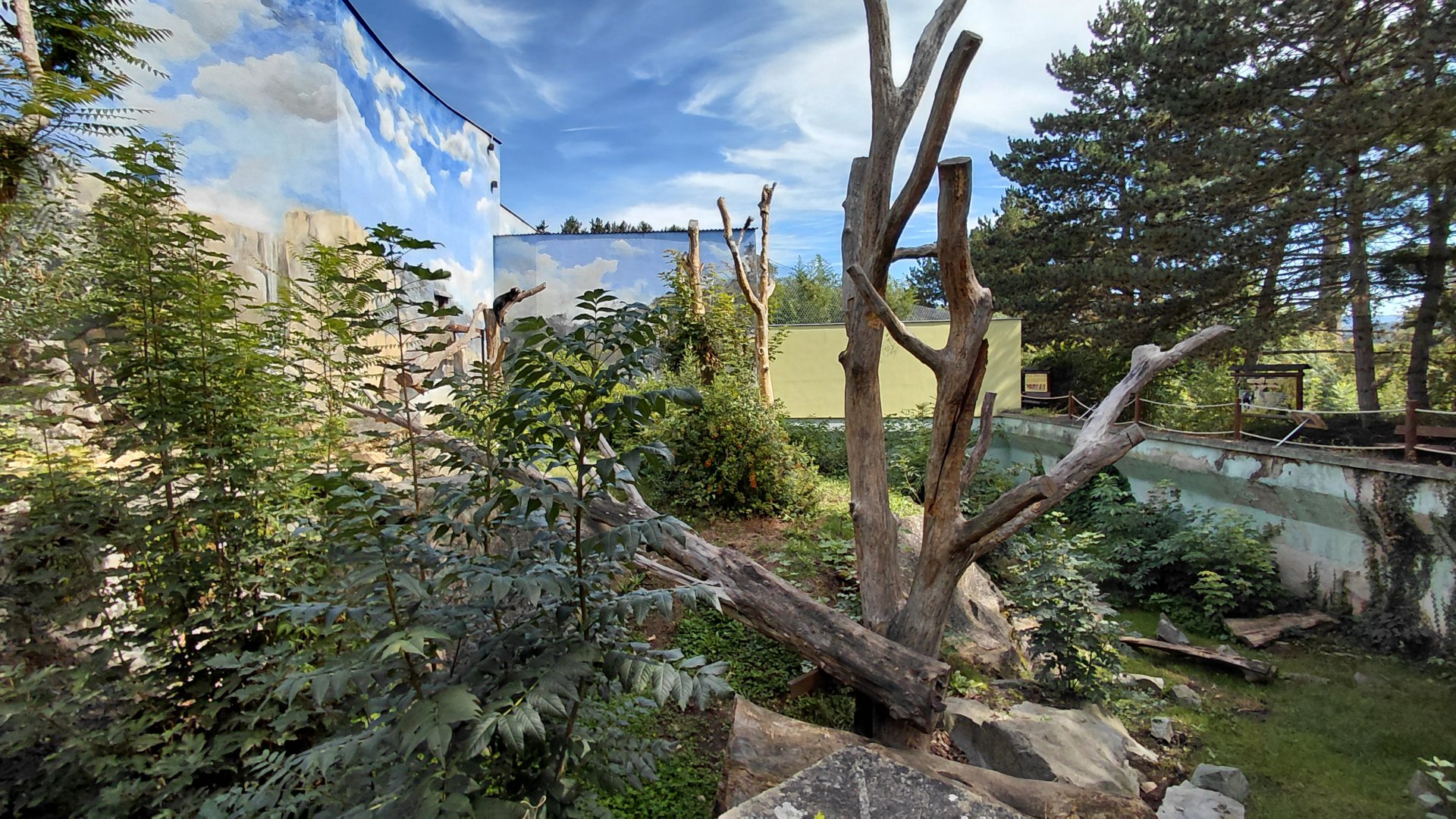 Sun bear outdoor exhibit