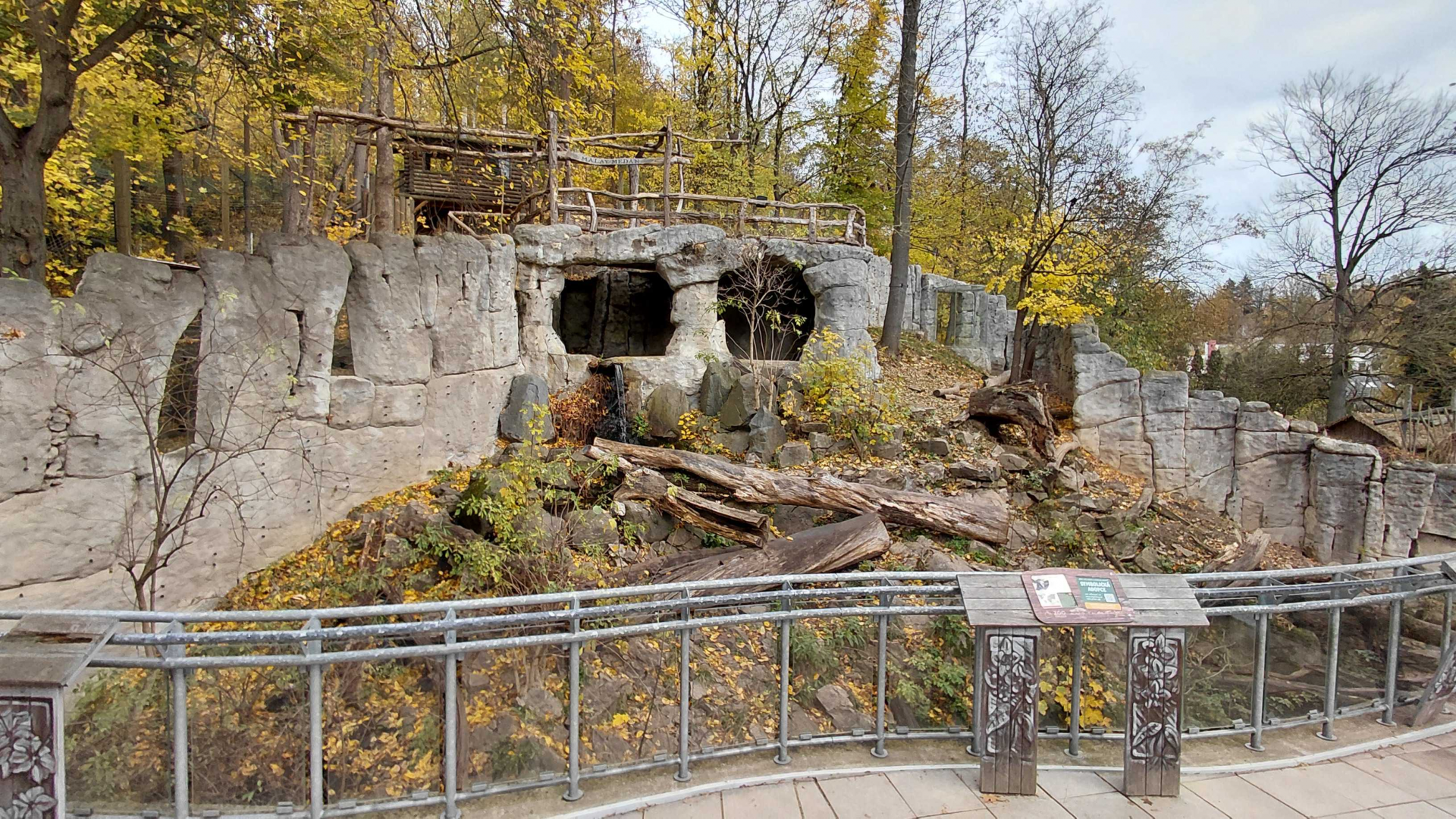 Sun bear outdoor exhibit