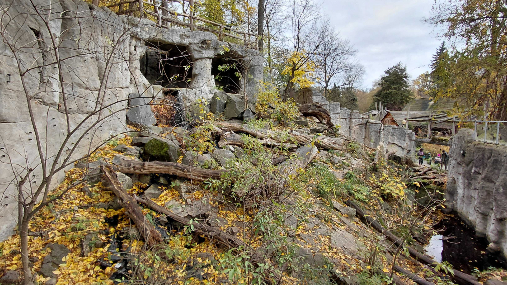 Sun bear outdoor exhibit