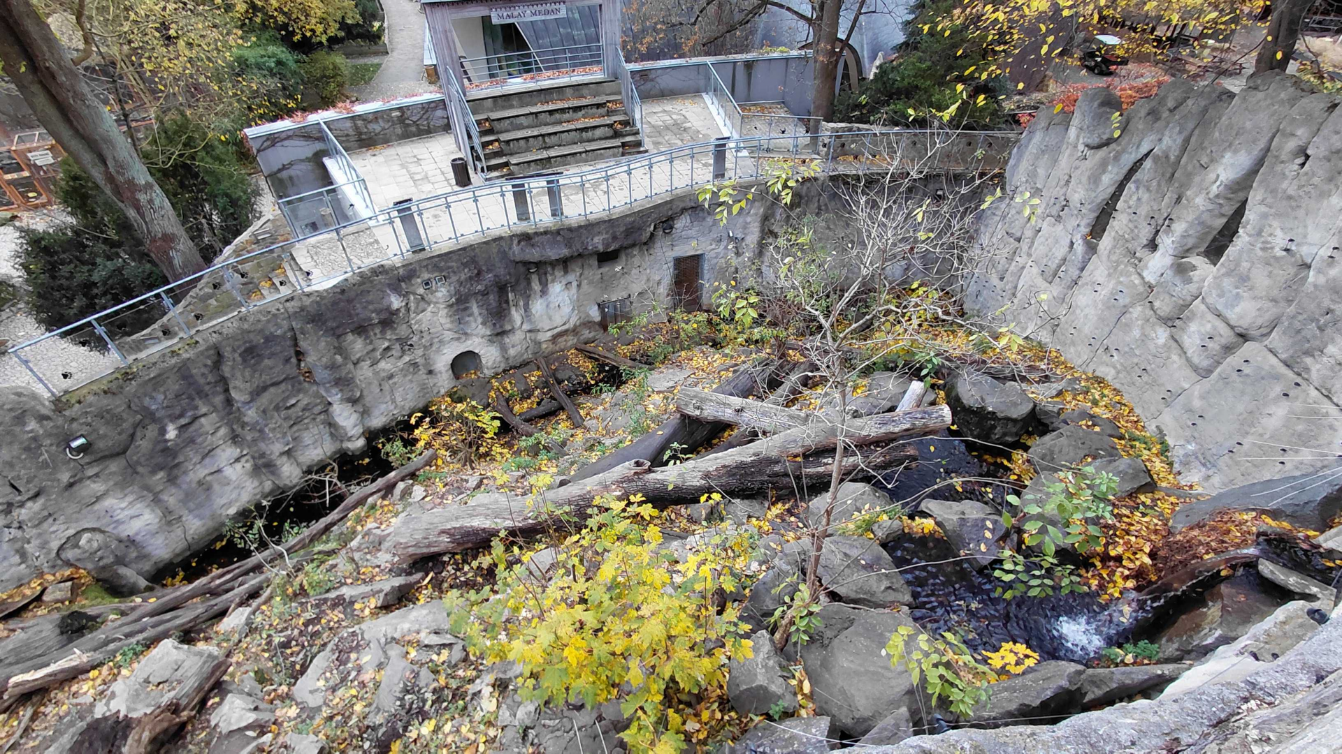 Sun bear outdoor exhibit