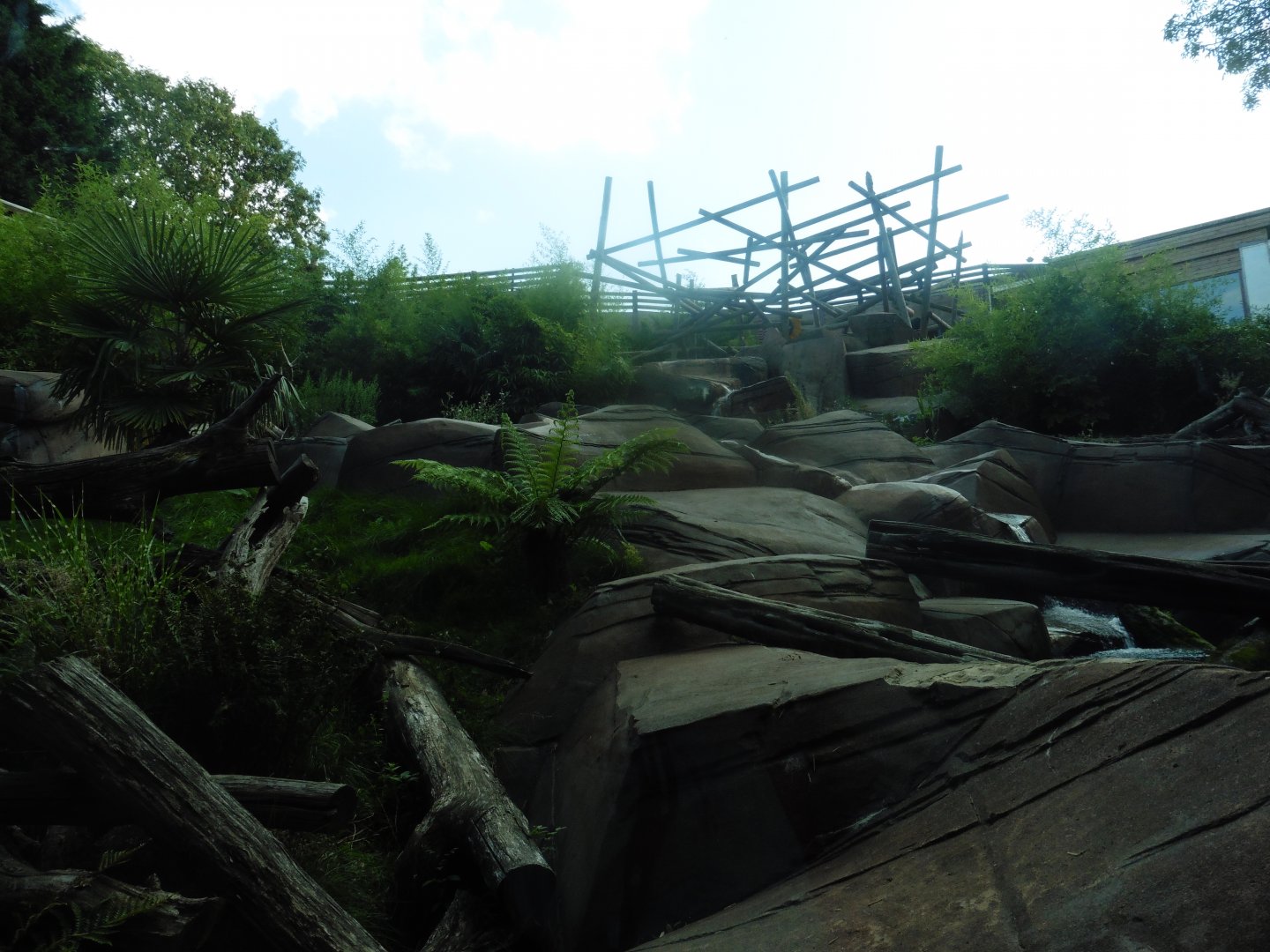 Sun Bear pool & fish tank