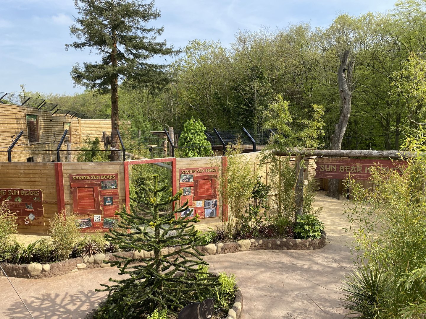 Sun bear rear enclosure from upper walkway PWP