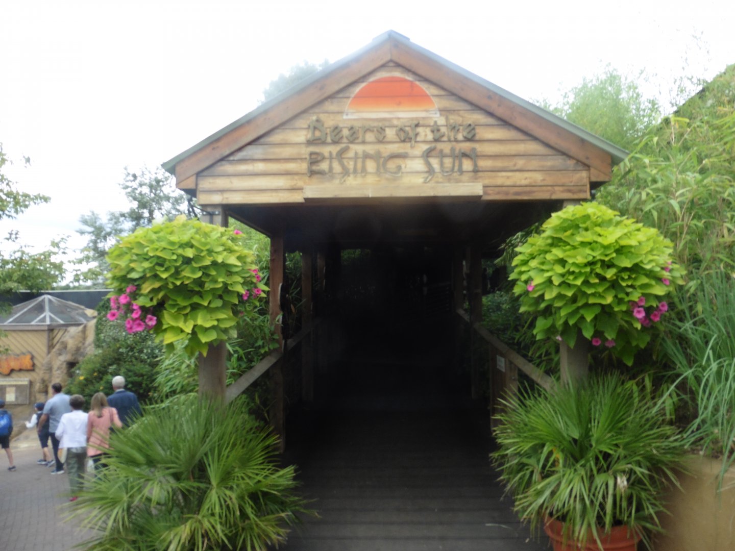 Sun Bear/Rufous (Philippines) Hornbill entrance