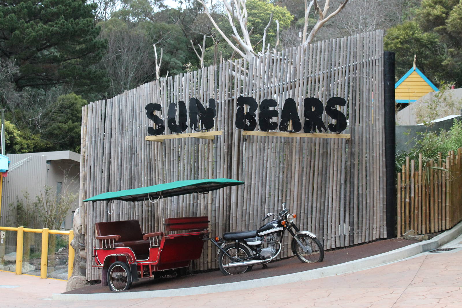 Sun Bear sign