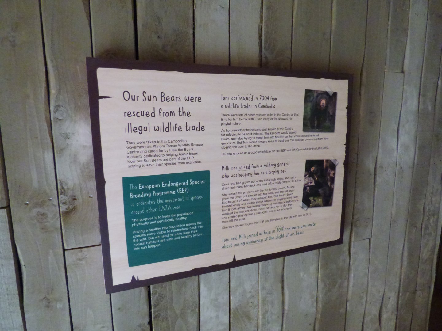 Sun Bear Signage