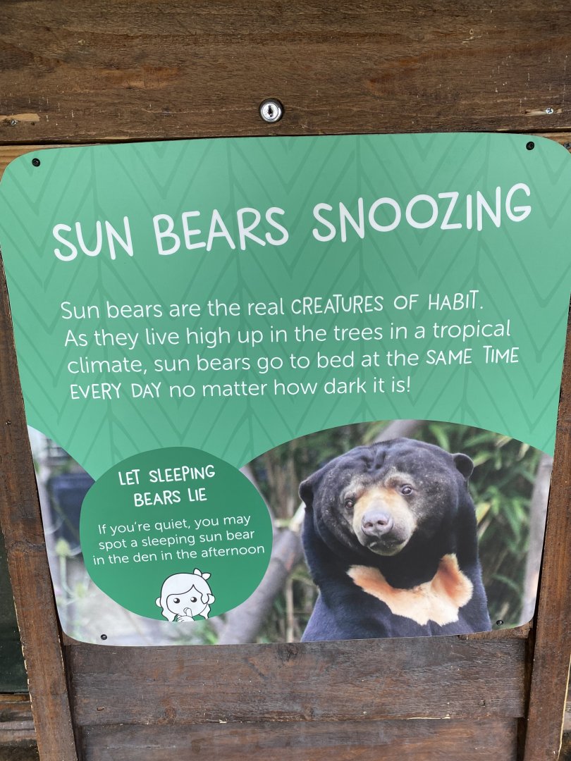 Sun bear signage