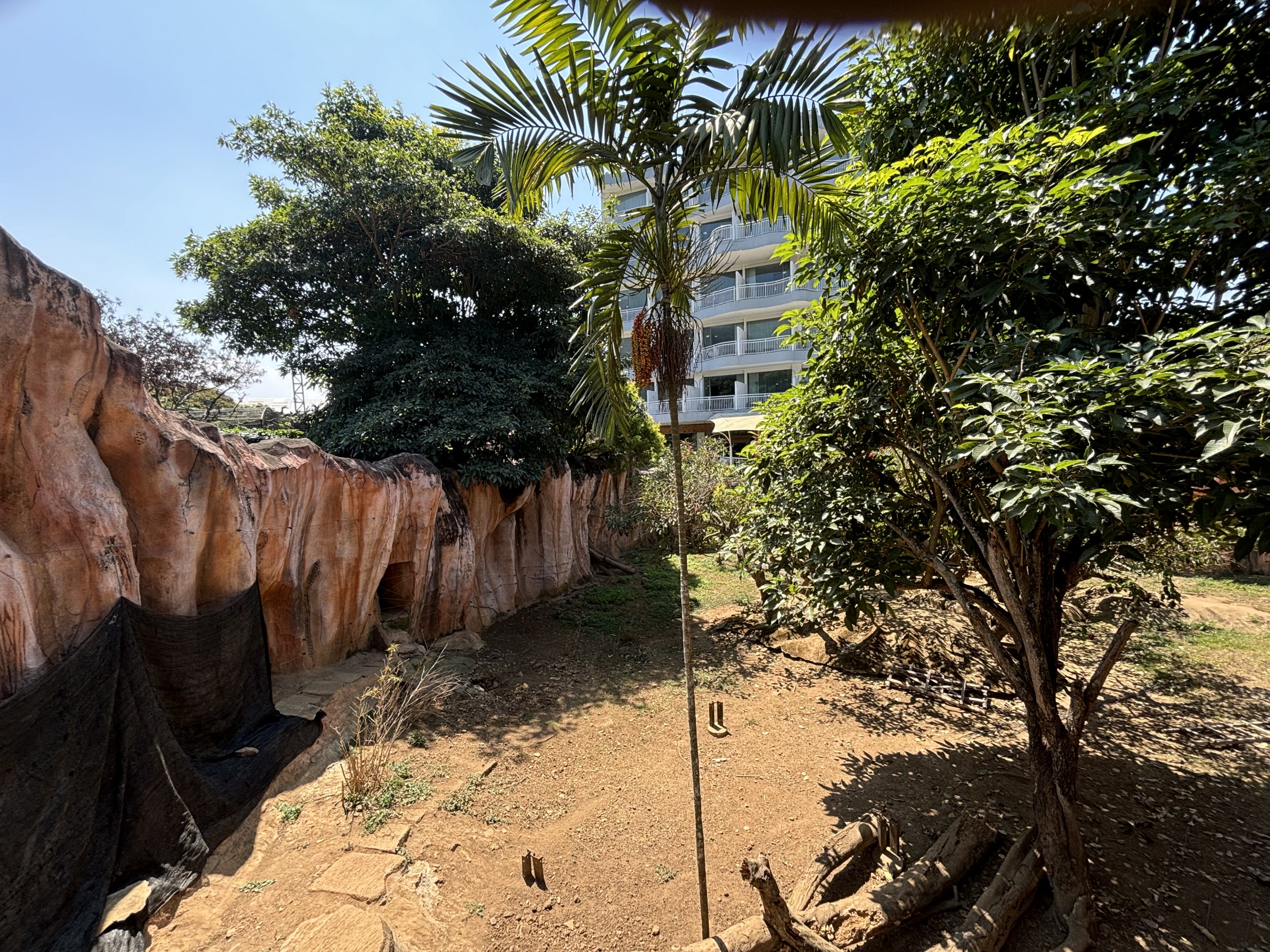 Sun Bear + Small-clawed Otter Exhibit