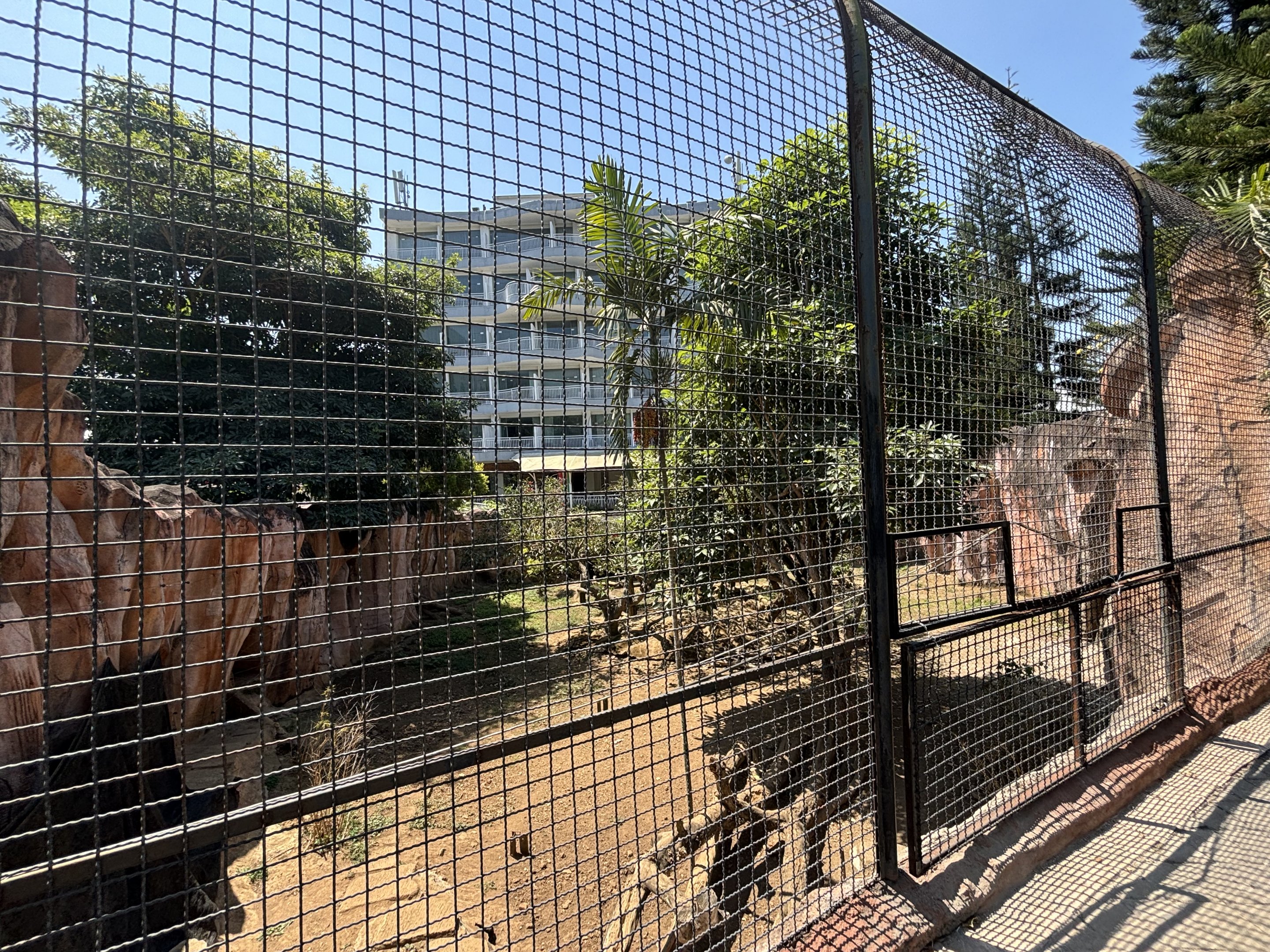 Sun Bear + Small-clawed Otter Exhibit