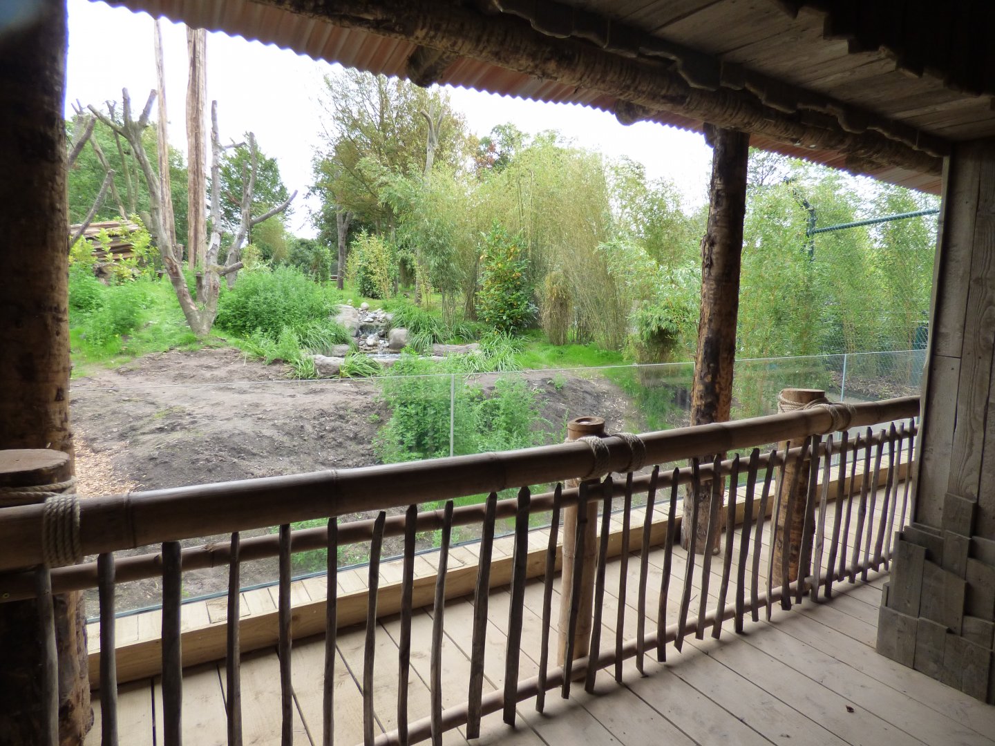 Sun Bear Viewing Area (2)