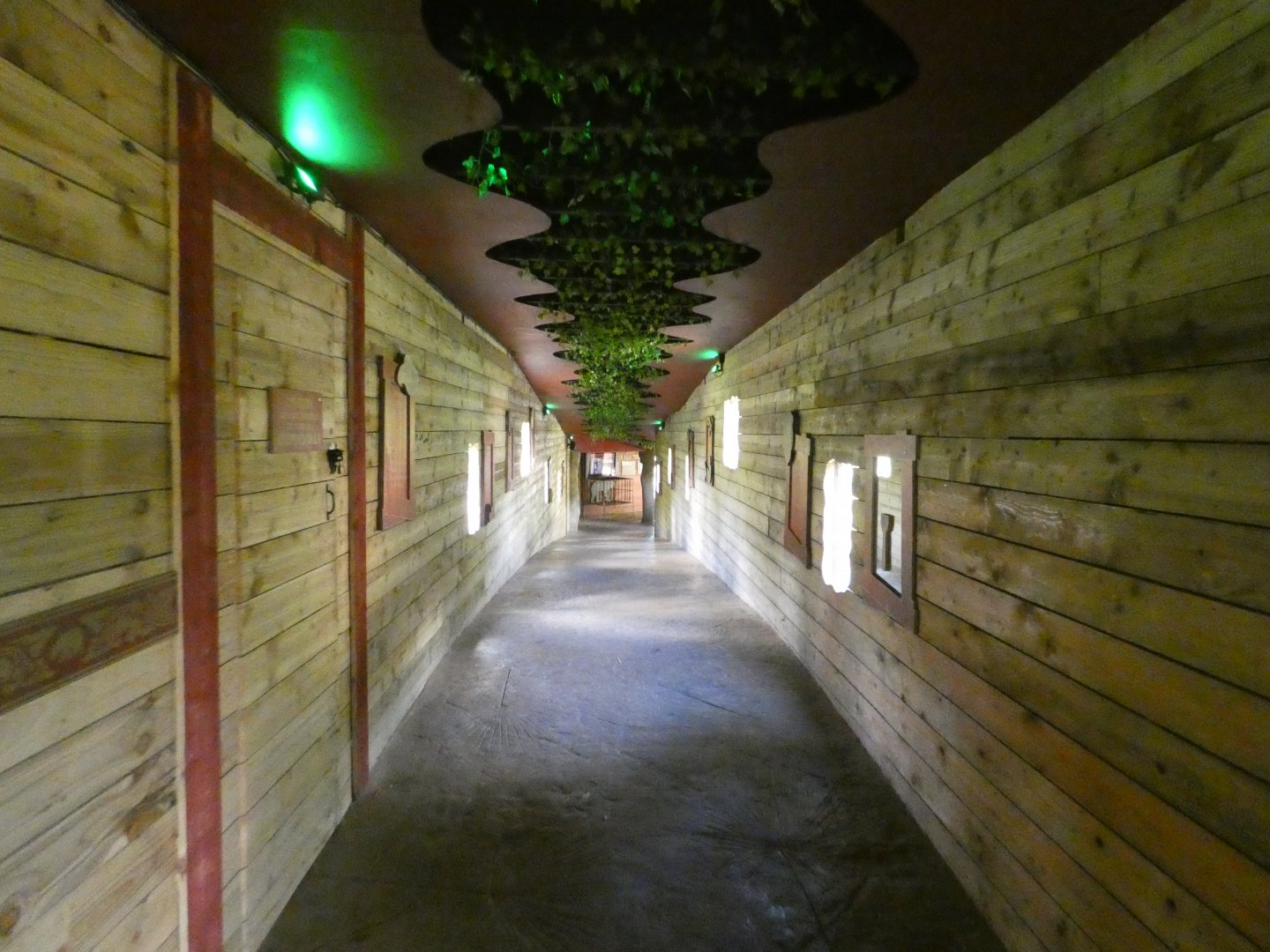 Sun bear viewing area