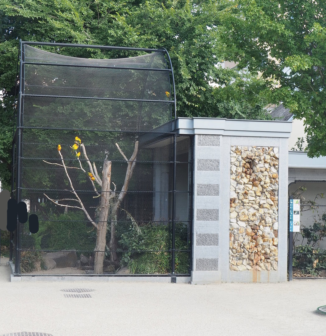 Sun conure and California quail aviary, 2022-09-04