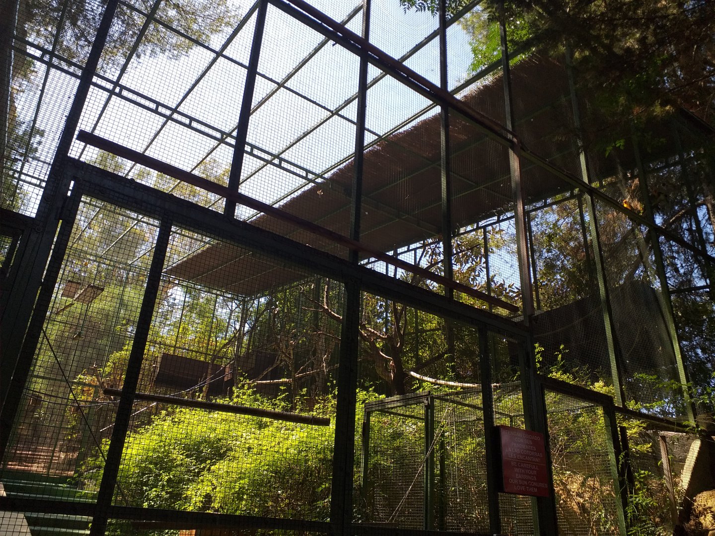 Sun conure and Nanday parakeet exhibit -MundoMar Benidorm (2021)
