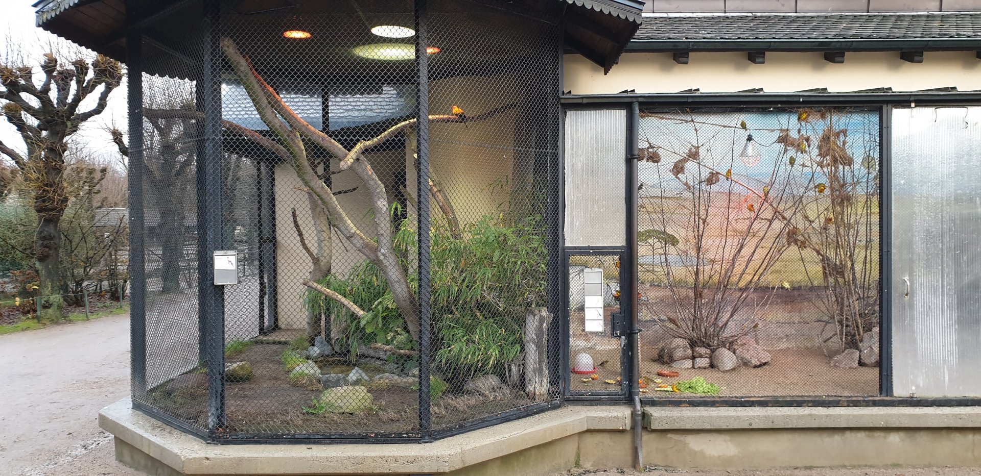 Sun conure - left - and Weaver aviary - right