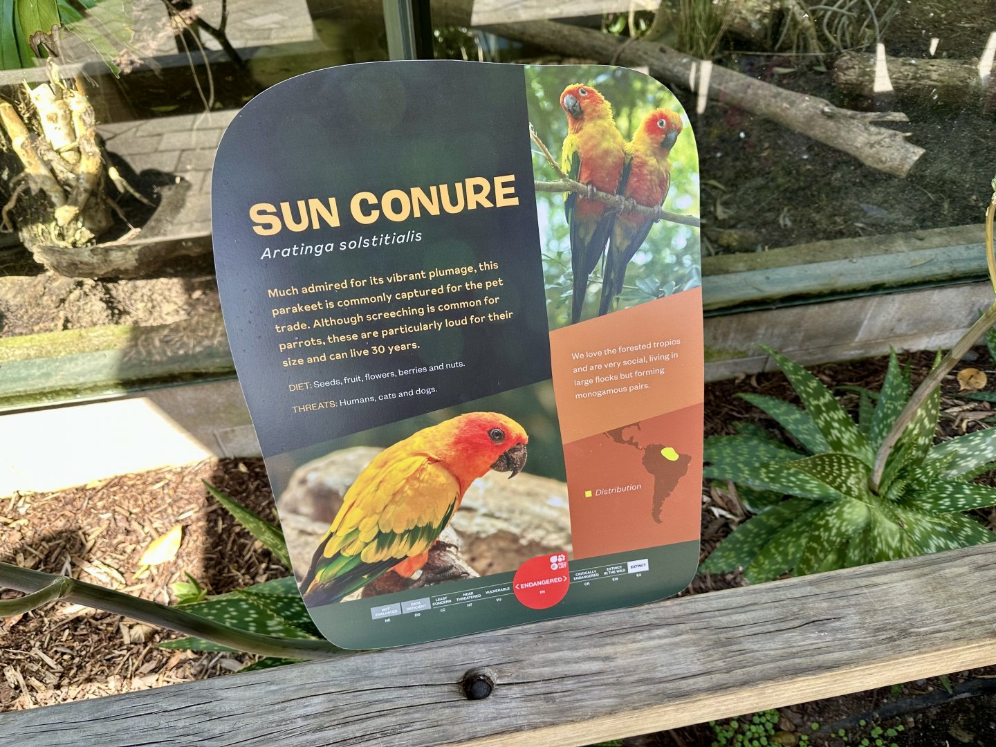 Sun Conure Signage