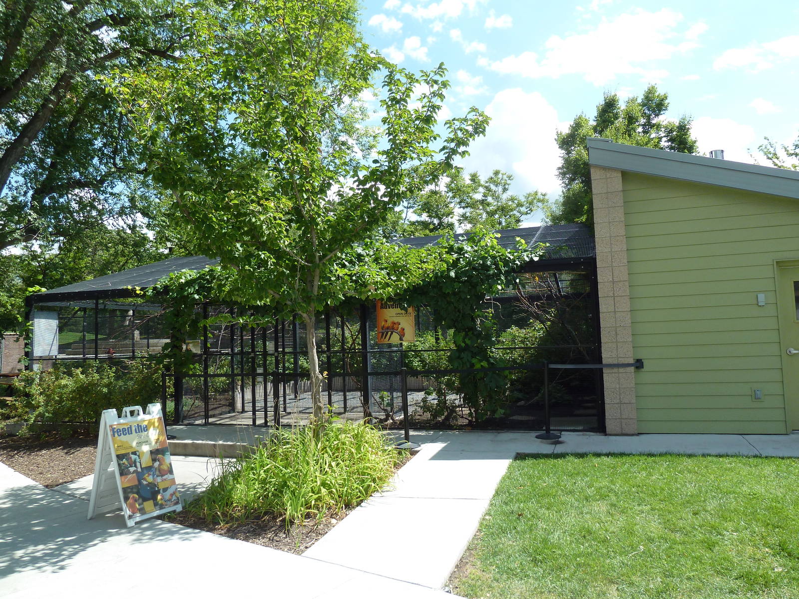 Sun Conure Walk-Through Aviary