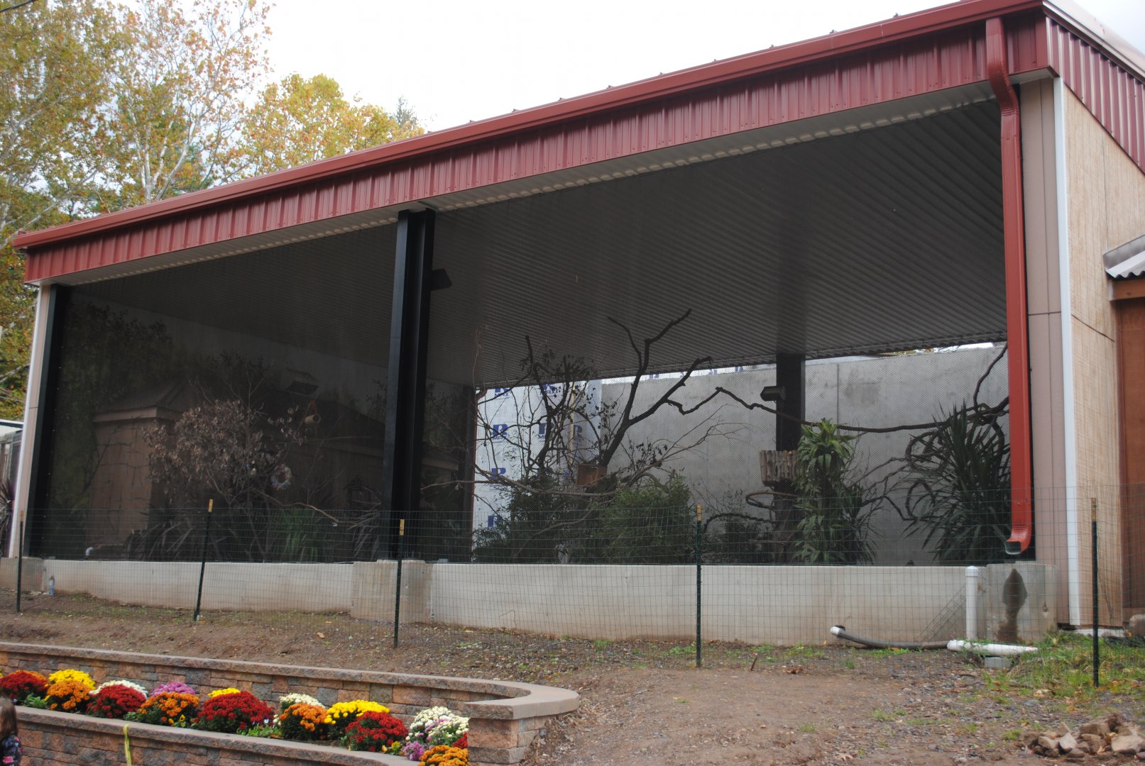 Sun Conures Walk-through Aviary
