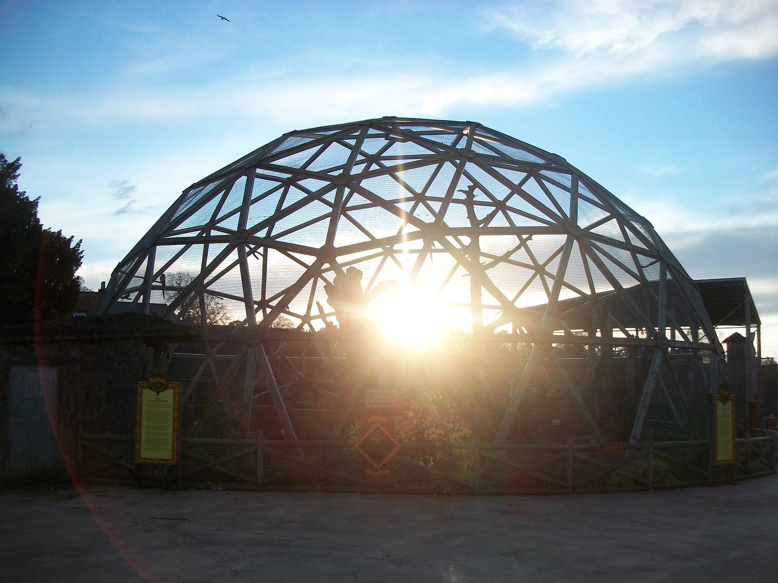 Sun setting behind Parrotsphere 1st November 2012