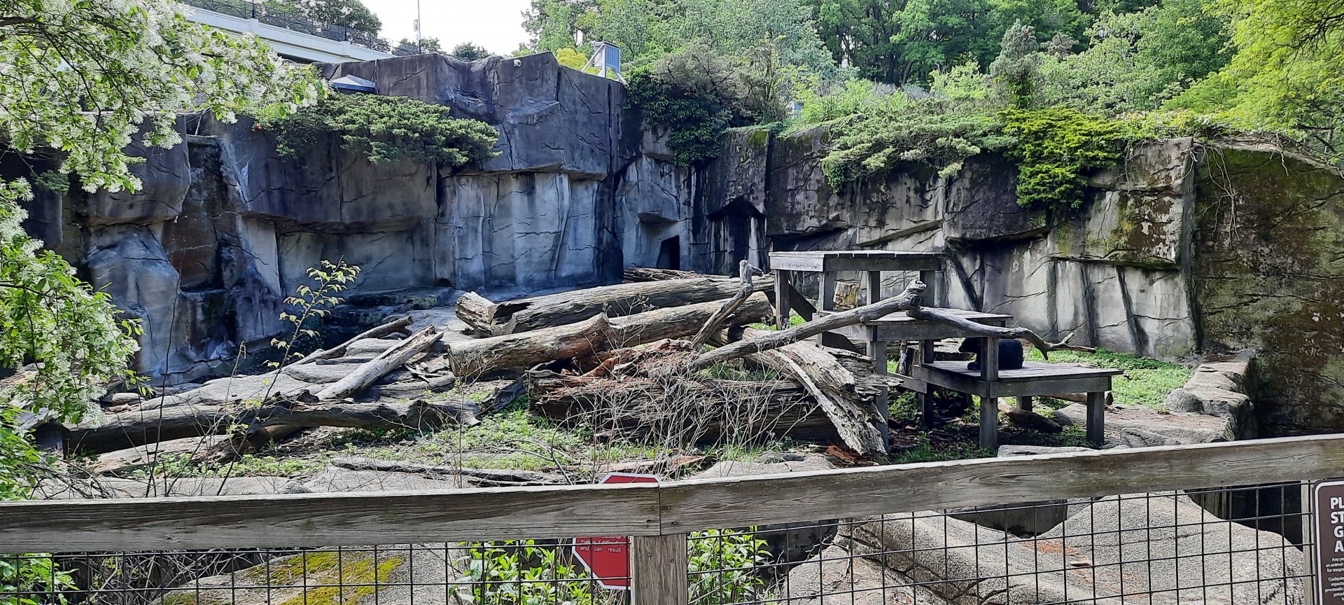 Sun/Sloth/Andean Bear Grotto 1
