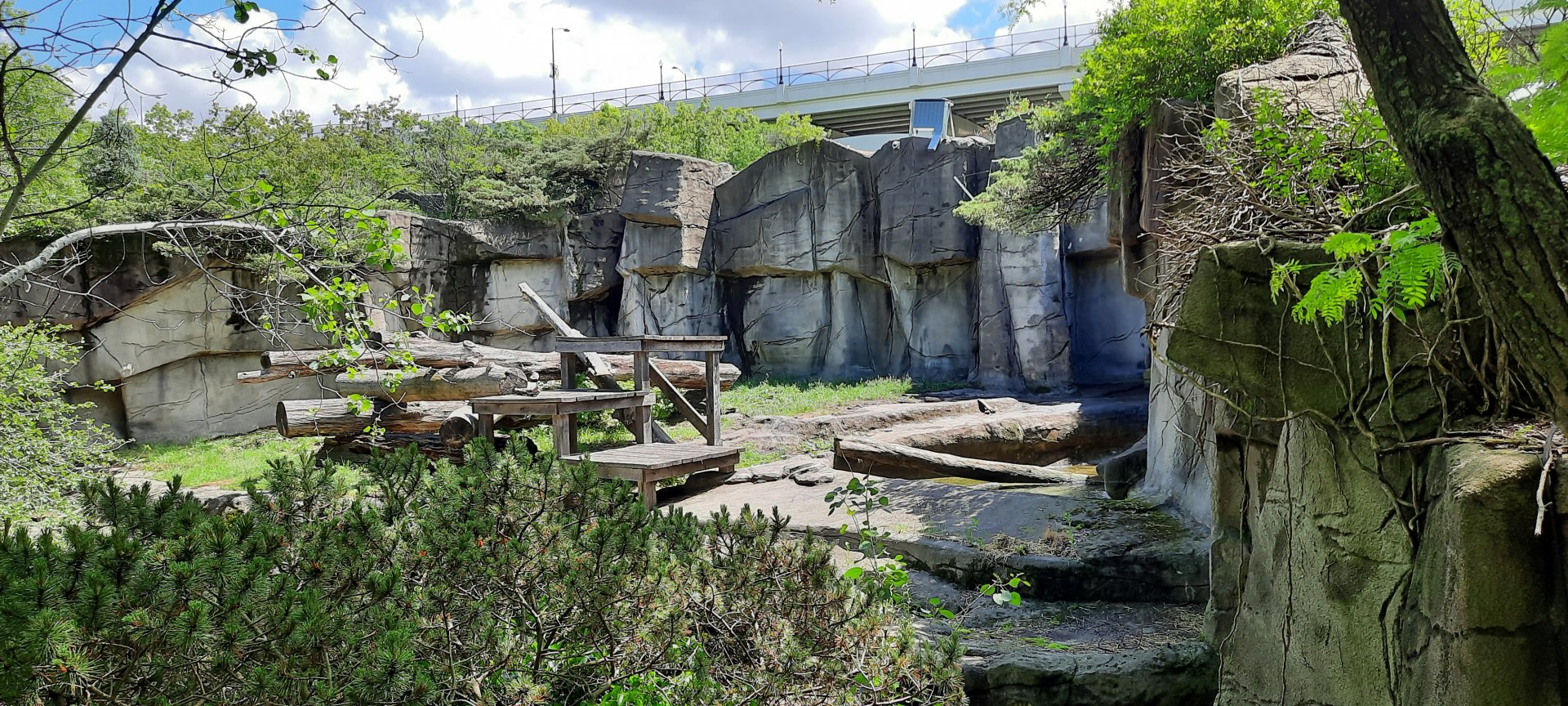 Sun/Sloth/Andean Bear Grotto 2