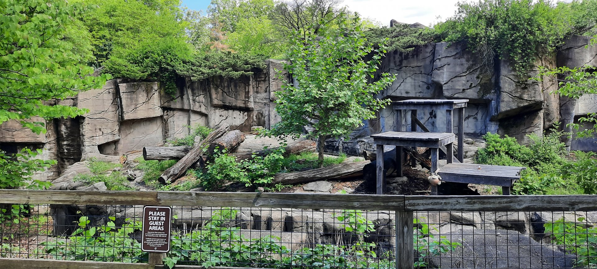 Sun/Sloth/Andean Bear Grotto 3