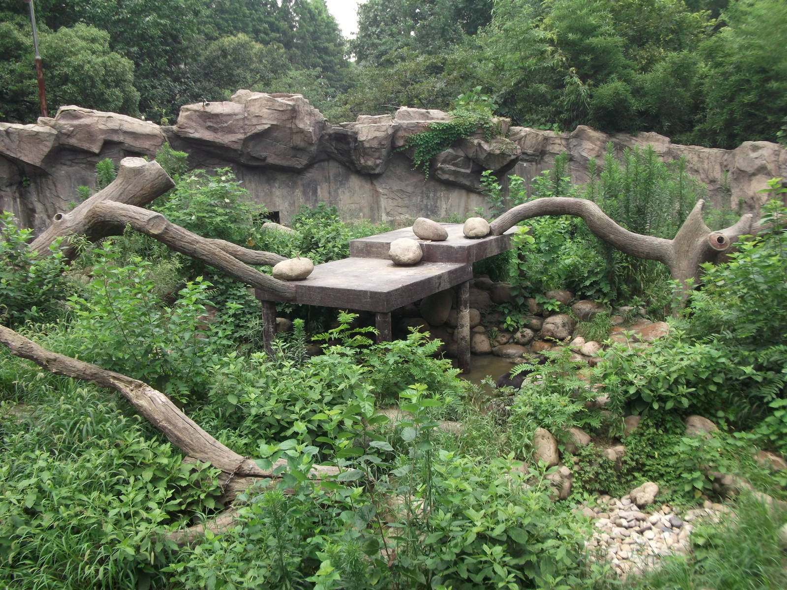 Sunbear enclosure 1