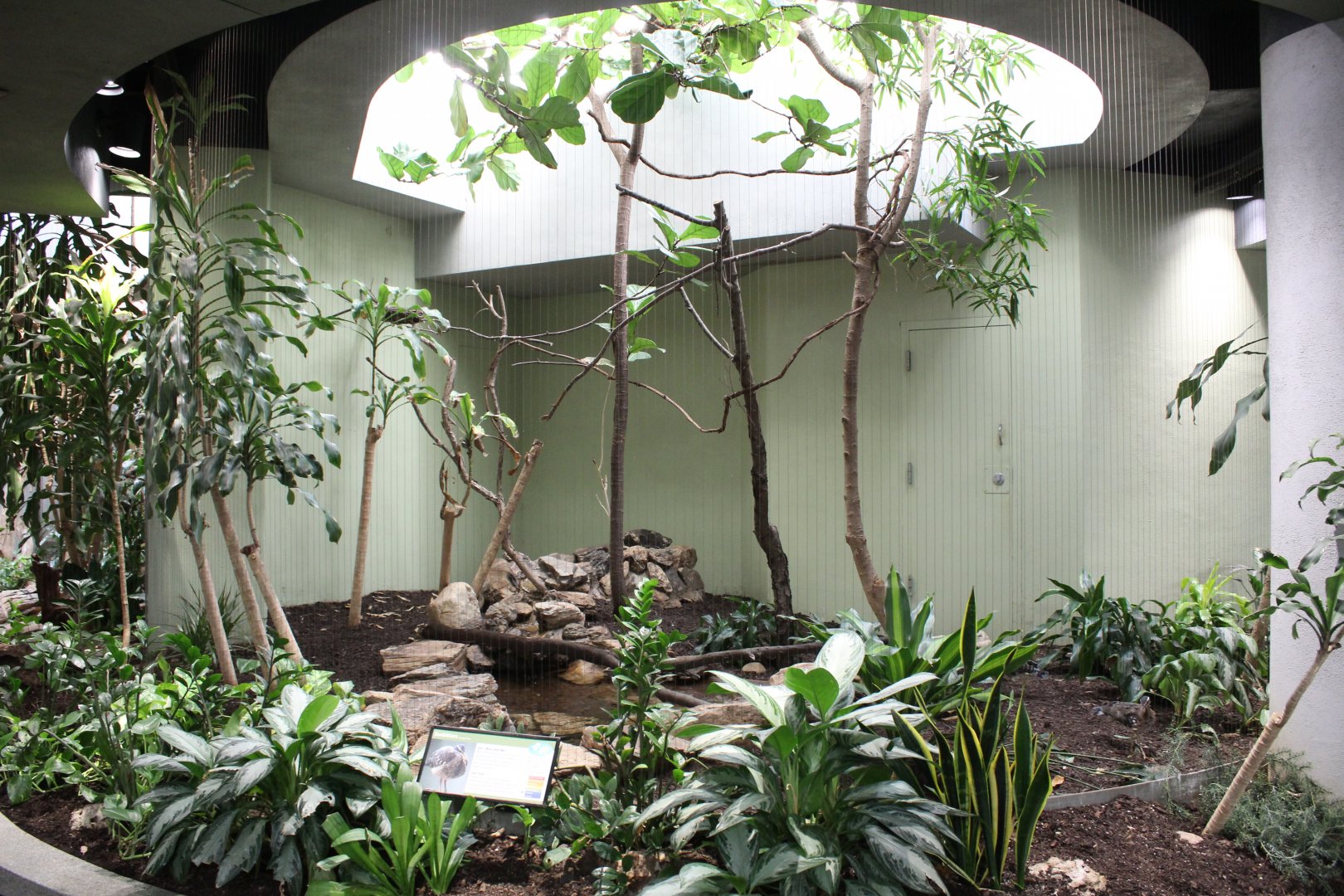 Sunbittern Exhibit - Bird House