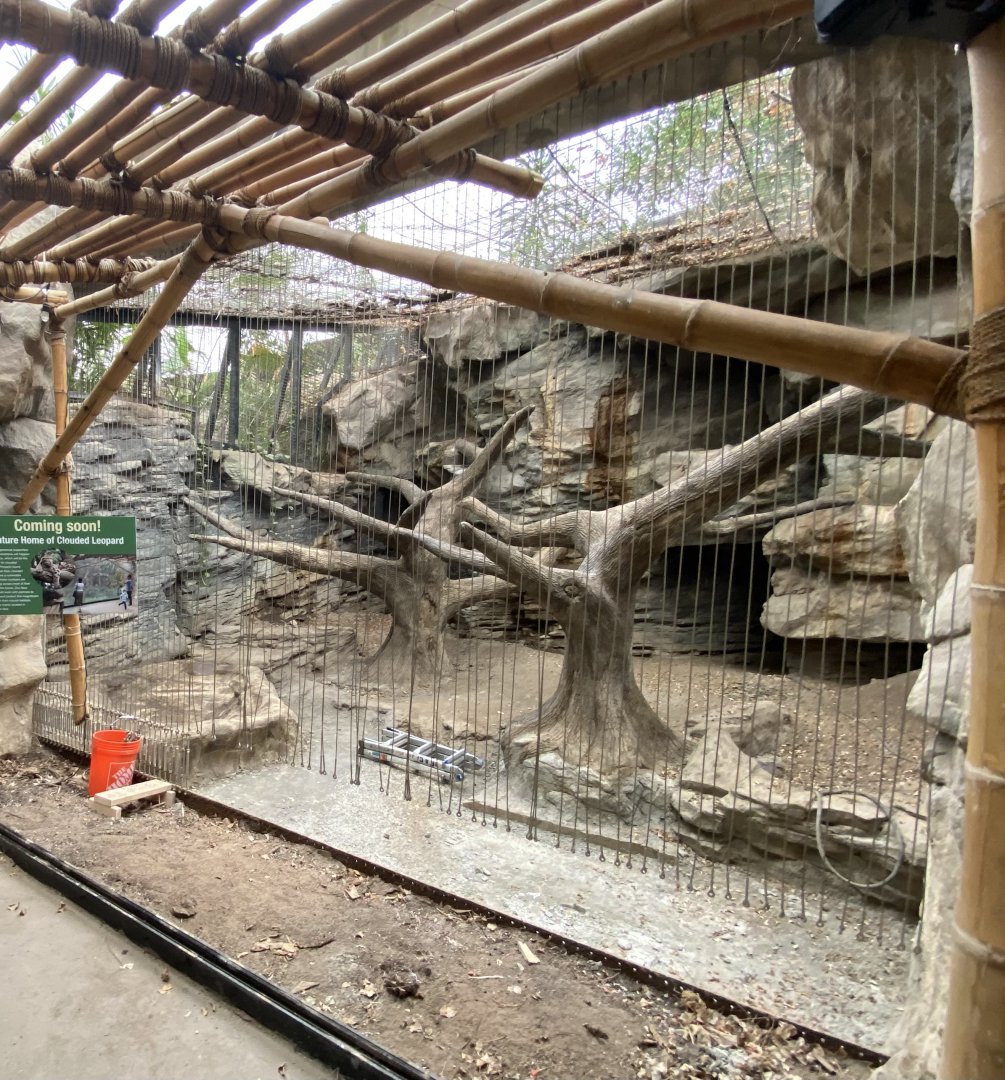 Sunda Cloded Habitat