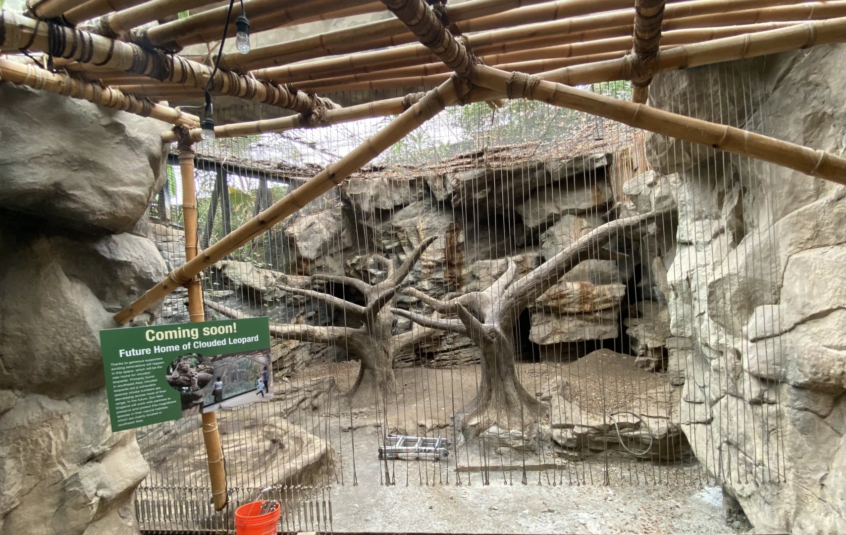 Sunda Clouded Habtat